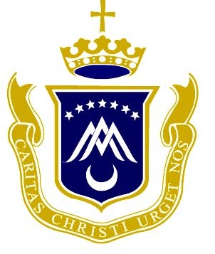 St Vincent's Logo